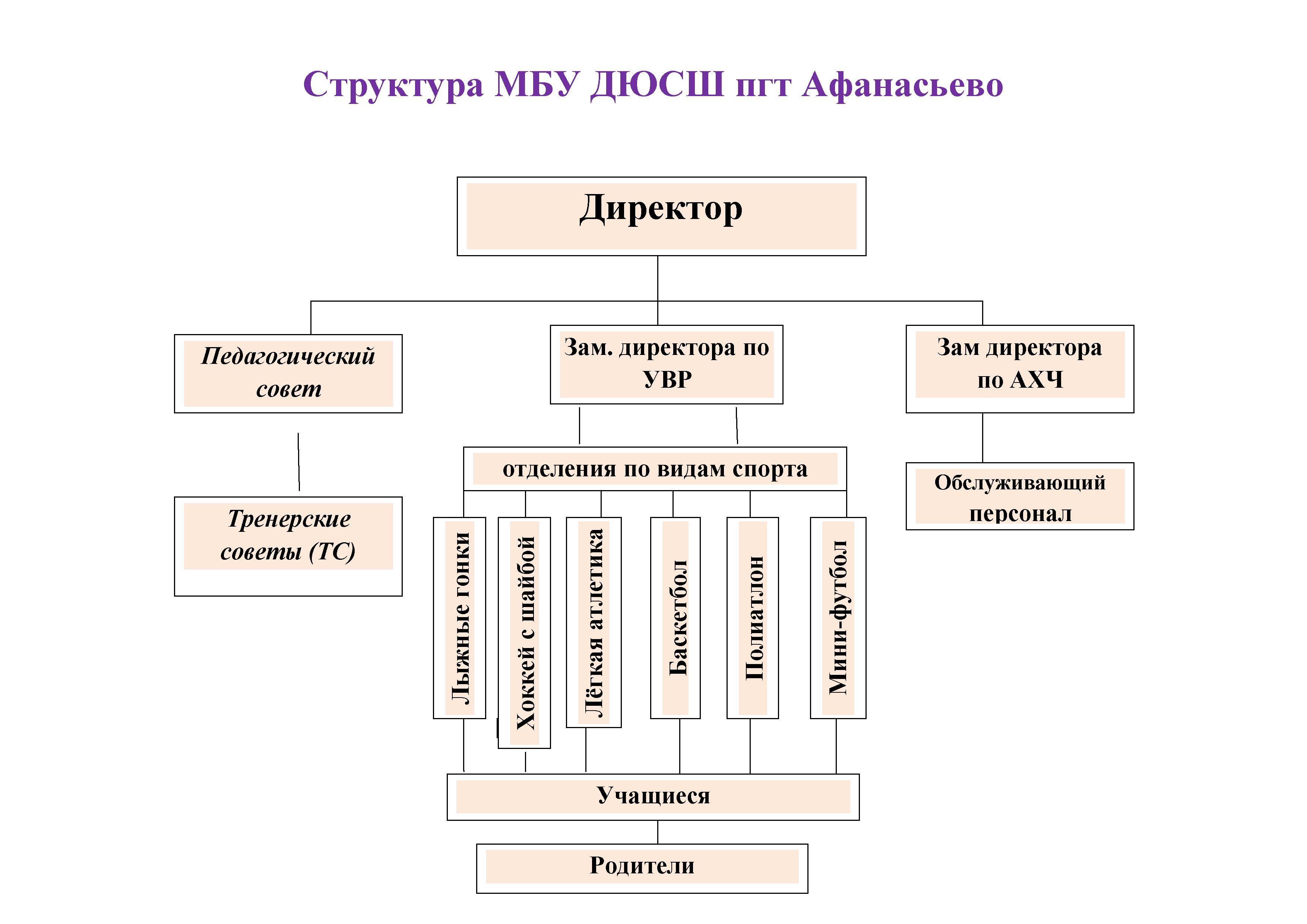 Организационная структура дюсш схема